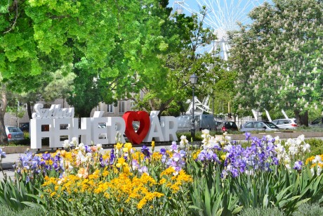 Virágzó cserjék a májusi nyárban - nézze meg képeken a belvárosi parkokat